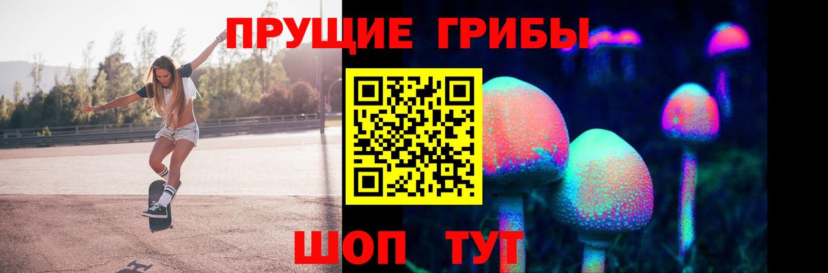 Коломна  Псилоцибиновые грибы Cubensis  Псилоцибиновые грибы MAGIC MUSHROOMS  Вход с VPN 